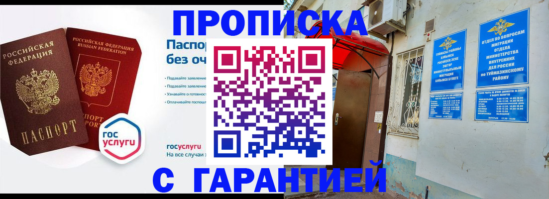 прописка законно в Звенигово