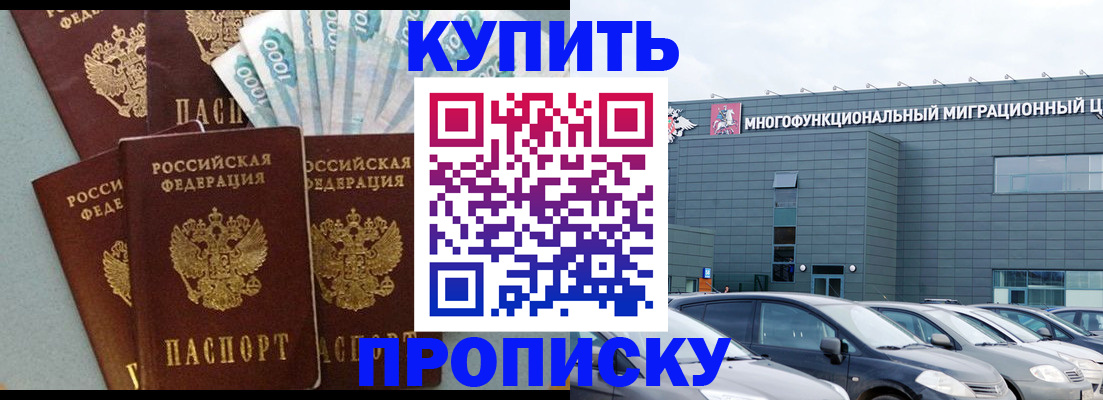 прописка штамп в Звенигово